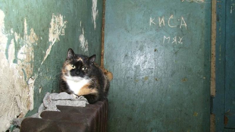 Featured image of post Borgmatic Configuration